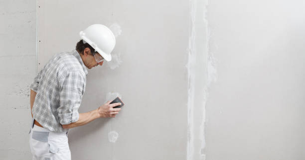 Best Post-Construction Mold Inspection  in Tillmans Corner, AL