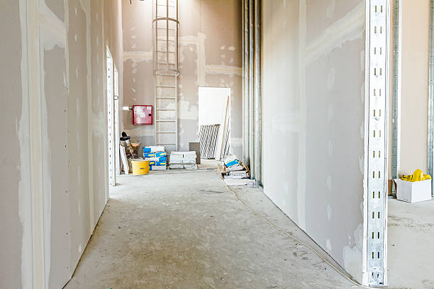 Best Biohazard Mold Removal  in Tillmans Corner, AL